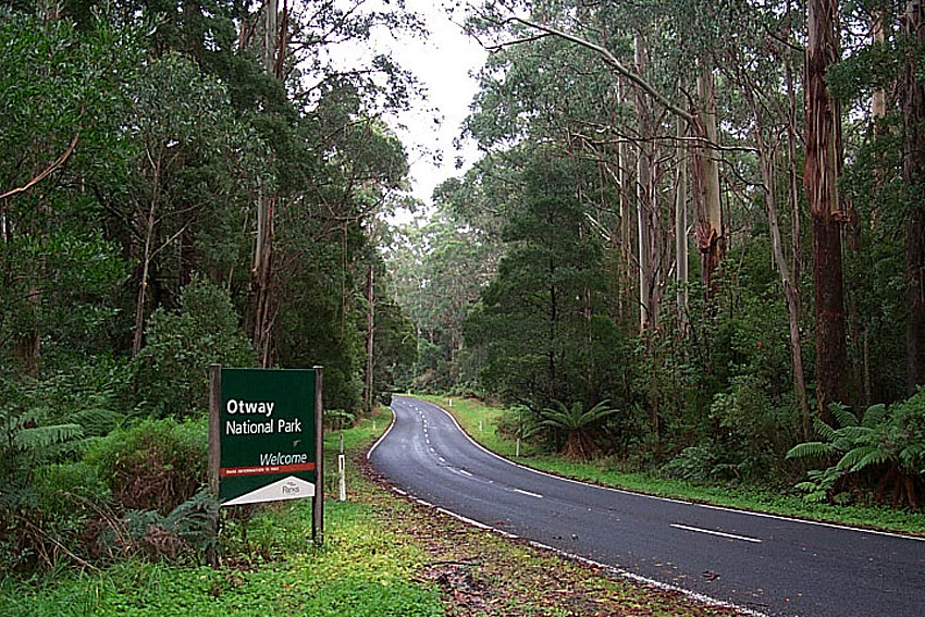The Otway National Park