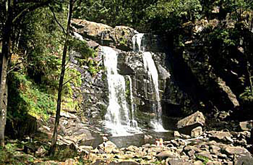 Stevensons Falls near Forrestl