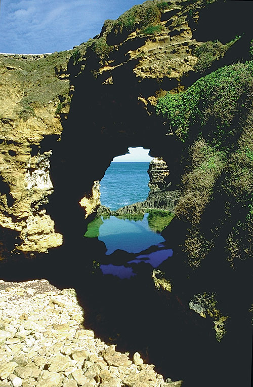 The Grotto Port Camobell